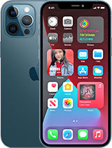iPhone 12 Models