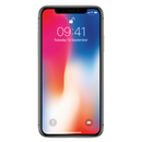 iPhone X Models