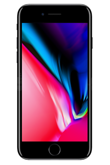 iPhone 8 Models